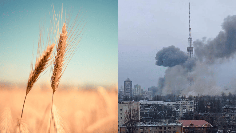 Russia-Ukraine conflict shows famines aren’t far. War and hunger go hand-in-hand