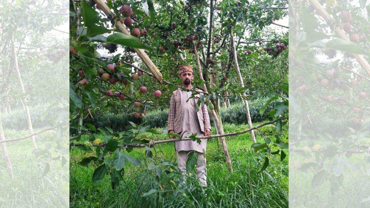 Kishan Verma, an apple farmer in Sarog village, Shimla | Credit: Shanker Arnimesh, ThePrint