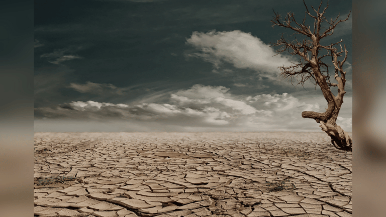 Climate change will make millions migrate. This journalist tells you how to make it fair