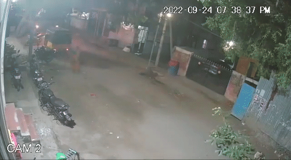 3 petrol bombs thrown at house of RSS member in Tamil Nadu – ThePrint ...
