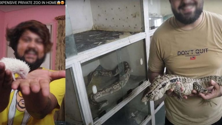 Roofed turtles, iguanas, ball pythons as pets is bringing Indians false sense of glamour