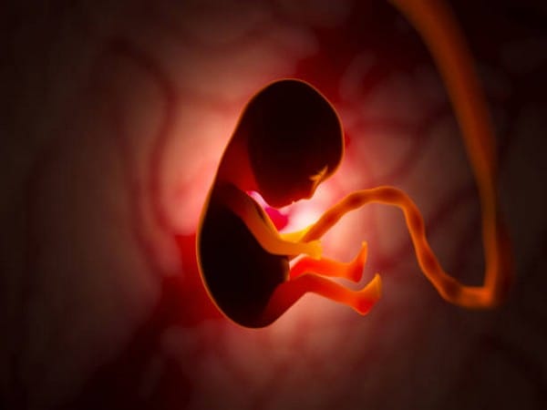 Study finds impact of social disadvantages on fetal brain development 