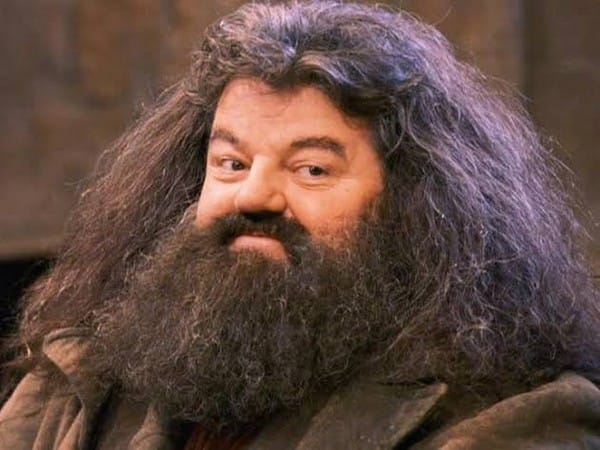 Robbie Coltrane, who played Hagrid in 'Harry Potter' movies, passes away