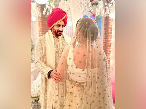 'Bigg Boss' fame Rajev Paul ties knot weeks after ex-wife Delnaaz Irani accepted boyfriend Percy Karkaria's proposal