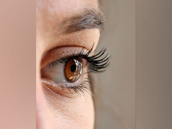 Adult brain may partially recover from genetic blindness: Study