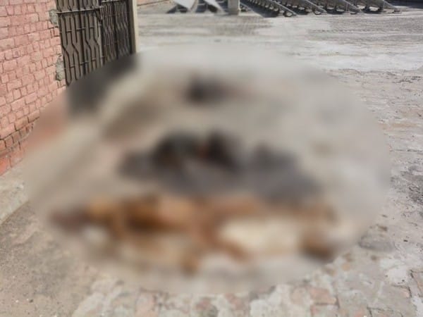 Pak's Multan horror: Nishtar Hospital blames police, rescue officials for piled up dead bodies on rooftop 