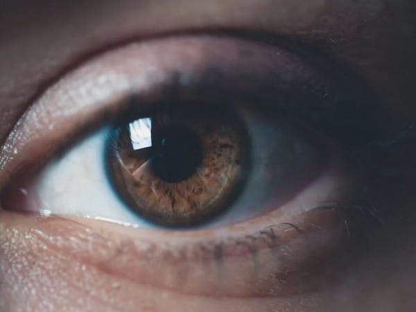 Daily food items that can be helpful in improving eyesight