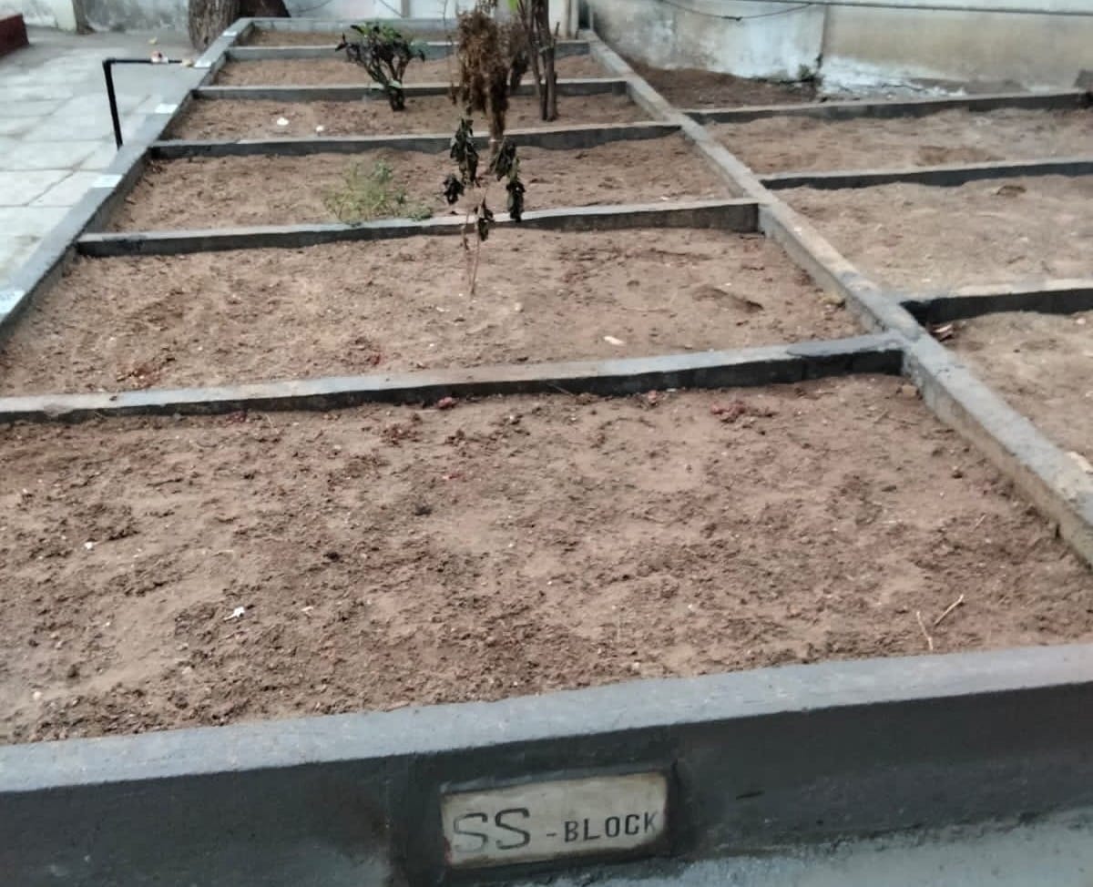 Division of burial spaces at Bada Kabrastan | Nazia Sayed | ThePrint