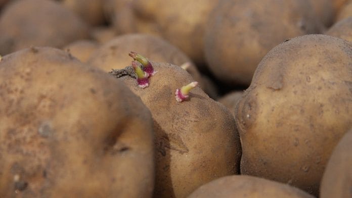 Representational image | Commons