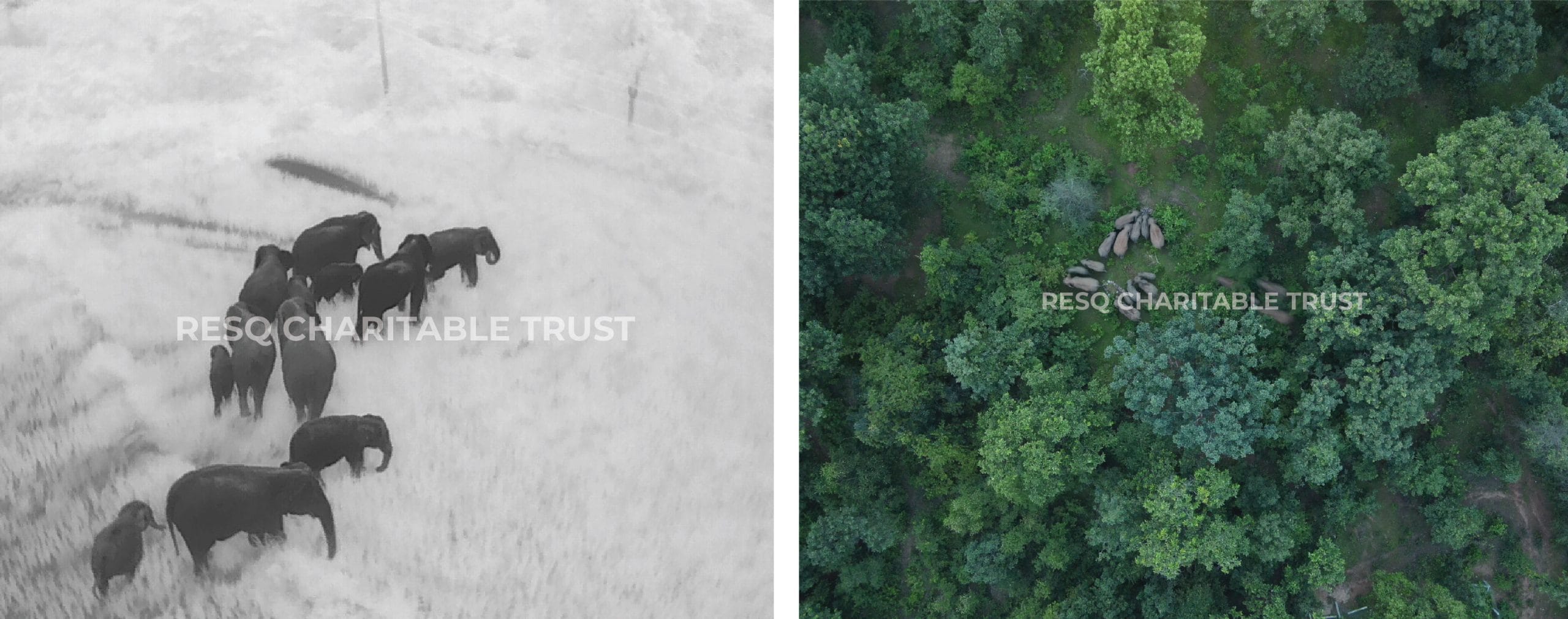 Images provided by RESQ Charitable Trust