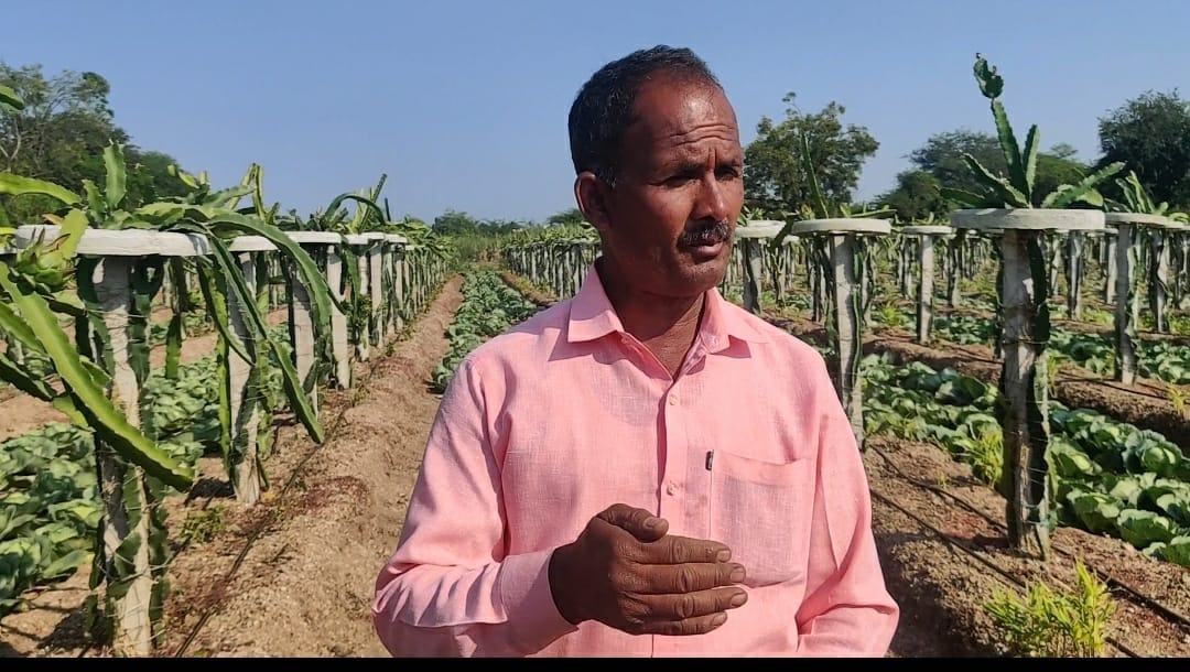 Rajaram Deshmukh in his field. | Purva Chitnis| ThePrint