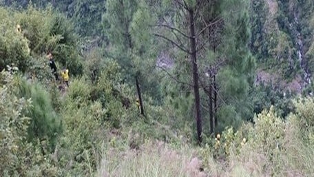 25 killed as bus carrying marriage party falls into gorge in ...