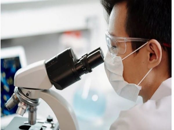 Research finds gut-brain connection for social behavior 