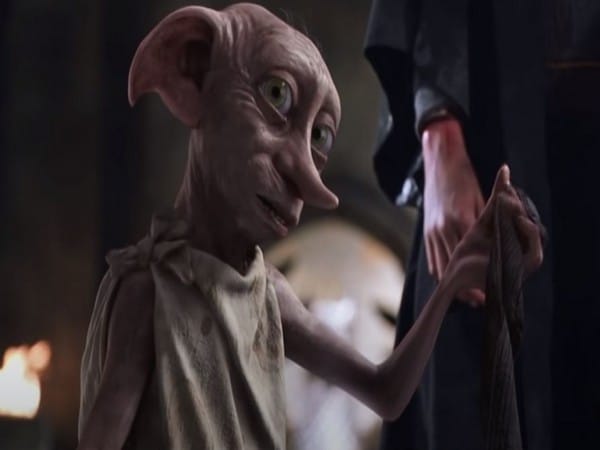 Environmental officials urge 'Harry Potter' fans to not leave socks at Dobby's memorial site