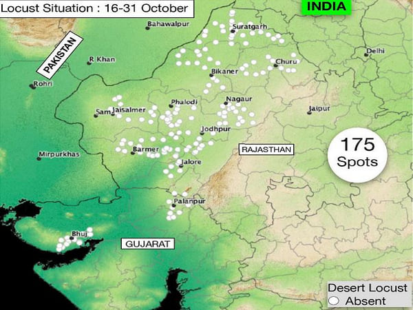 India free from presence of locust swarms – ThePrint – ANIFeed