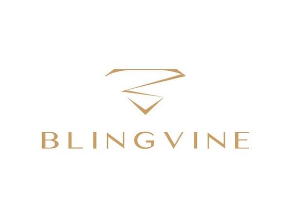 Blingvine, the celebrity loved jewellery brand that's actually affordable