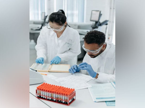 Study reveals a new approach for Alzheimer's therapies