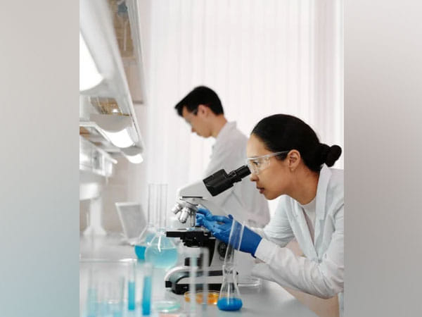 Researchers find connection between gut and stroke-induced cognitive impairment