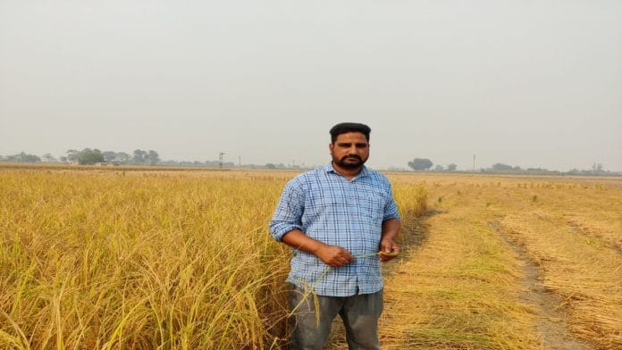 Harpreet Kaleka, a farmer in Punjab's Sangrur, in his rice field. | Disha Verma| ThePrint