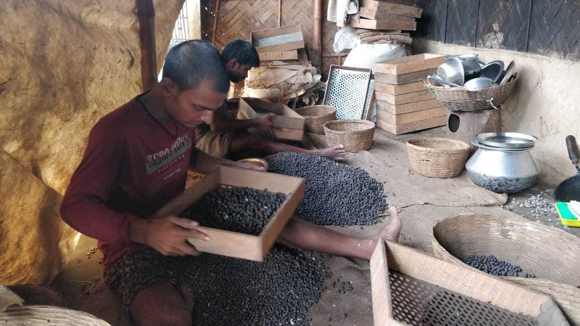 Bihar’s superfood makhana industry isn’t growing. Where is the land?
