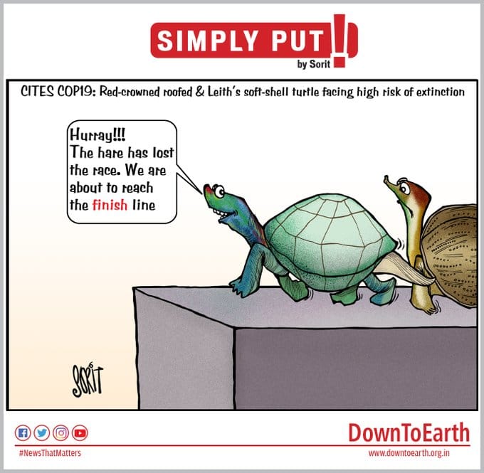 Sorit/ Twitter: @down2earthindia