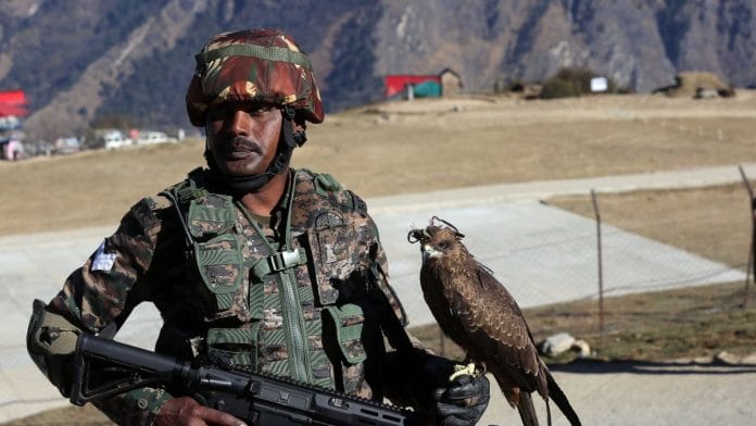 A soldier with 'Arjun', a black kite trained to down enemy drones, during the Yudh Abhyas exercise being held in Auli, Uttarakhand | Suraj Singh Bisht | ThePrint