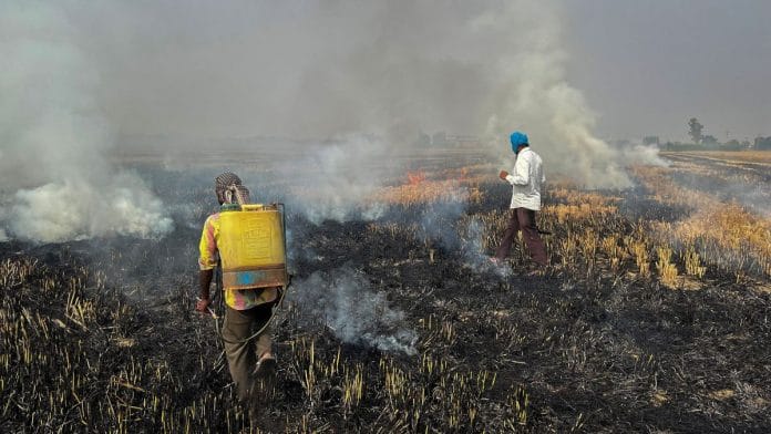Farmers burn crop stubble in a rice field at a village in Fatehgarh Sahib district in the northern state of Punjab, on 4 November 2022 | Reuters/Sunil Kataria