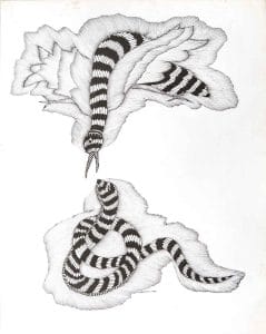 Nevla Saap (Mongoose and Snake), Jangarh Singh Shyam, c. 1998, Pen and ink on paper.