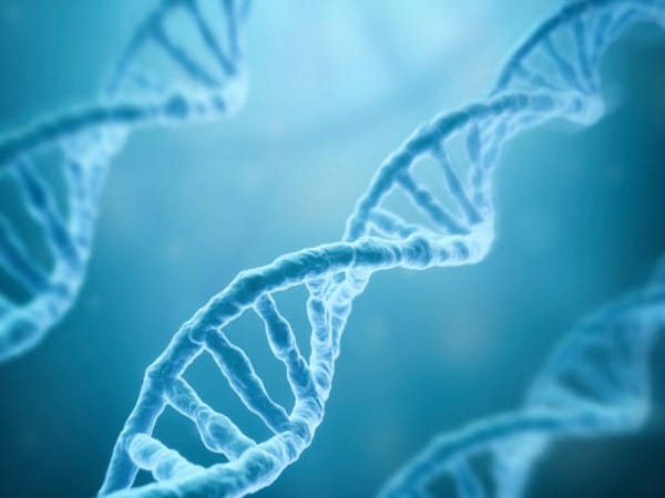 Early life events can have long-term effect on genes: Study