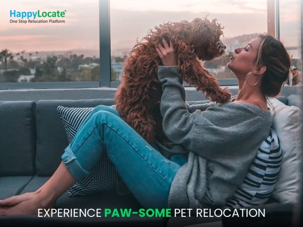 HappyLocate recently ventured into Pet Relocation services; ensuring 100 per cent safe and secure pet travel