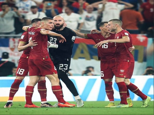 FIFA WC: Dragan Stojkovic cites problems in defence for Serbia's loss against Switzerland