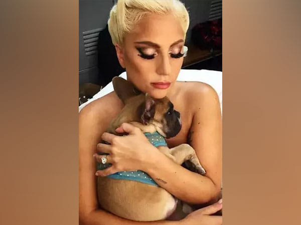 Guy who shot Lady Gaga's dog-walker gets 21-year imprisonment