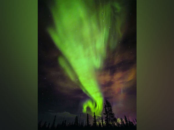 Scientists discover technology to absorb electromagnetic waves in 6G band