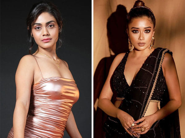 Bigg Boss 16: Sreejita De takes a jibe at Tina Datta for hugging Shalin Bhanot for camera