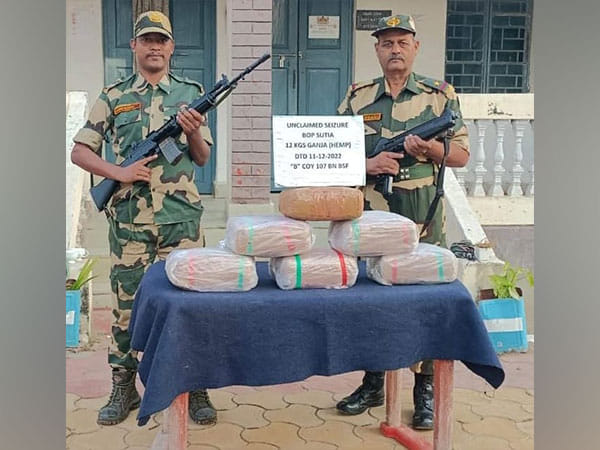 BSF foils smuggling bid, seizes huge quantity of ganja on India-Bangladesh border