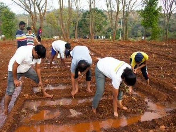 EY Global Delivery Services celebrates International Volunteering Day Week