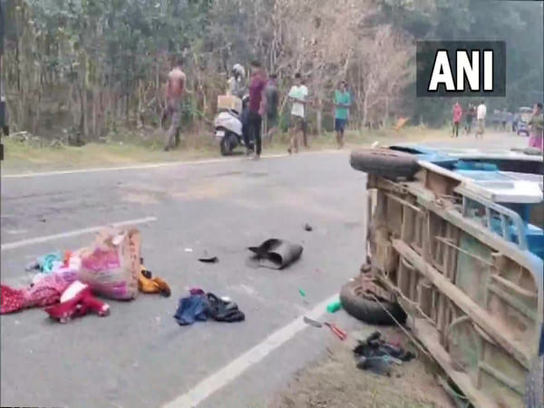 3, including child, killed as herd of wild elephants attacks cars in Assam's Goalpara