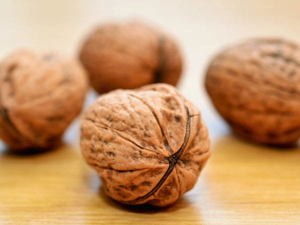 Walnuts are the new brain superfood for stressed students: Research