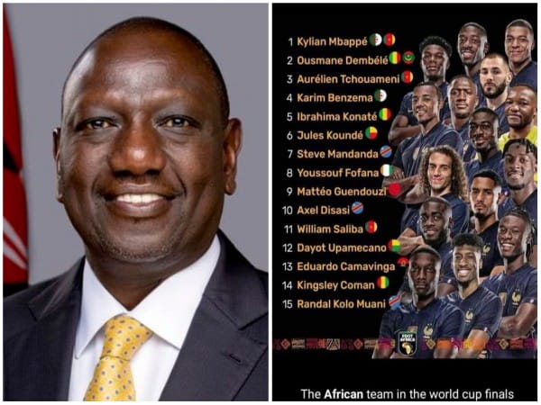 'My African team played superb': Kenyan Prez lauds French side after World Cup defeat