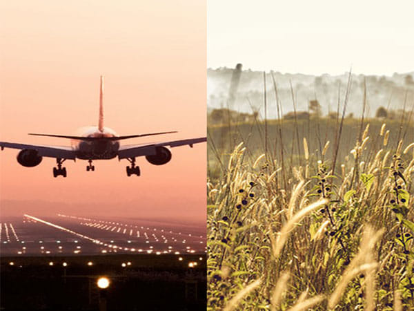 French firms keen to invest in agriculture, aircraft maintenance sector in Uttar Pradesh