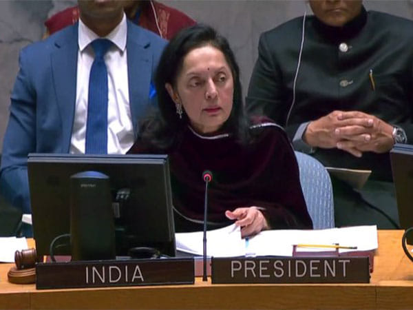 India raises concern over poppy cultivation, Taliban-Al-Qaida relations at UNSC briefing on Afghanistan