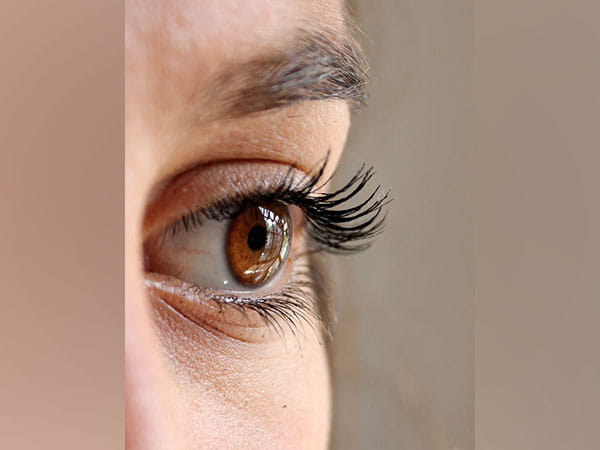 Study discovers new treatment for rare eye disease that prevent blindness