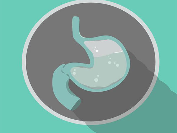 Some stomachs digest faster than others due to microbes: Study