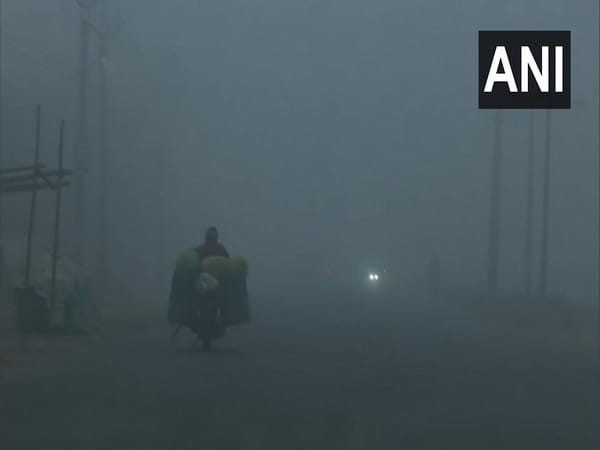 North India in grip of severe cold wave