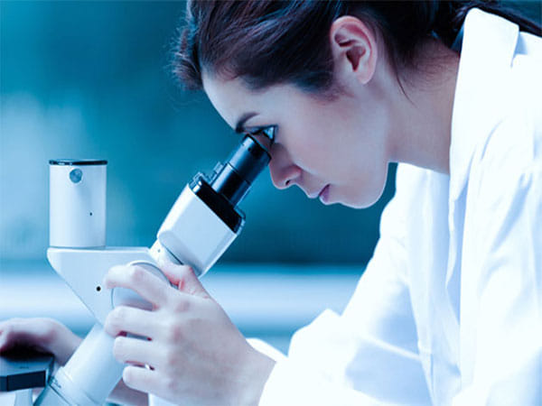 Advent International to buy 'significant' stake in Suven Pharmaceuticals