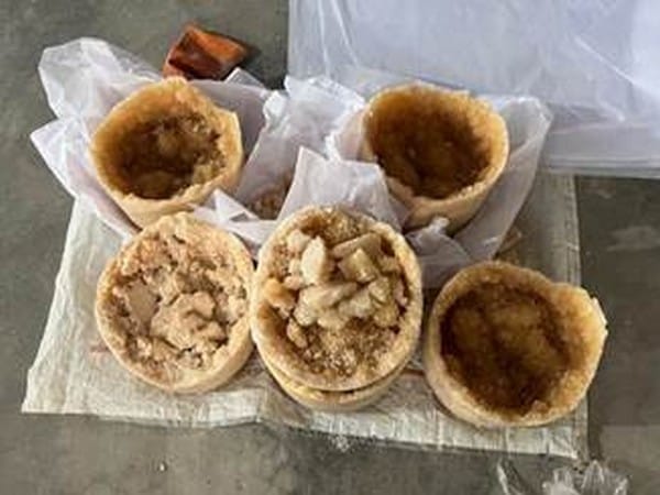 DRI seizes 25kg mephedrone drug from clandestine labs in Hyderabad, seven arrested