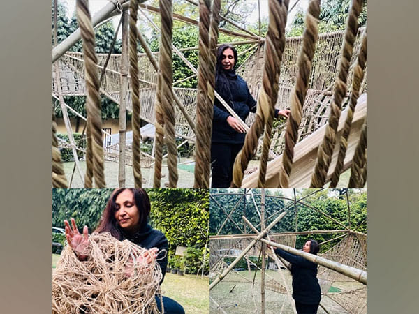 The Fragility of Habitat - A Solo Art Exhibition by Aarti Zaveri