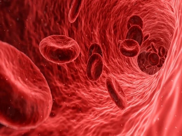 Anemia discovery offers new targets to treat fatigue in millions