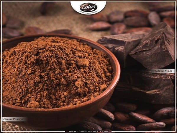 Reliance Consumer Products to acquire 51 pc stake in Lotus Chocolate Company