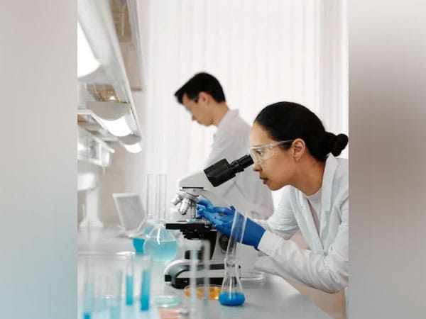 Research suggests direct connection between spatial goals, behaviour in brain circuit 